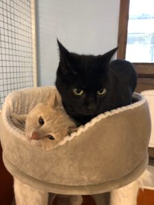 Luka&Oskar